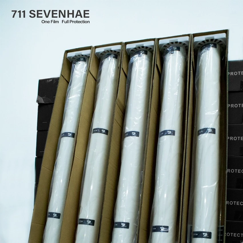 Sunroof Heat Shield Ppf factory